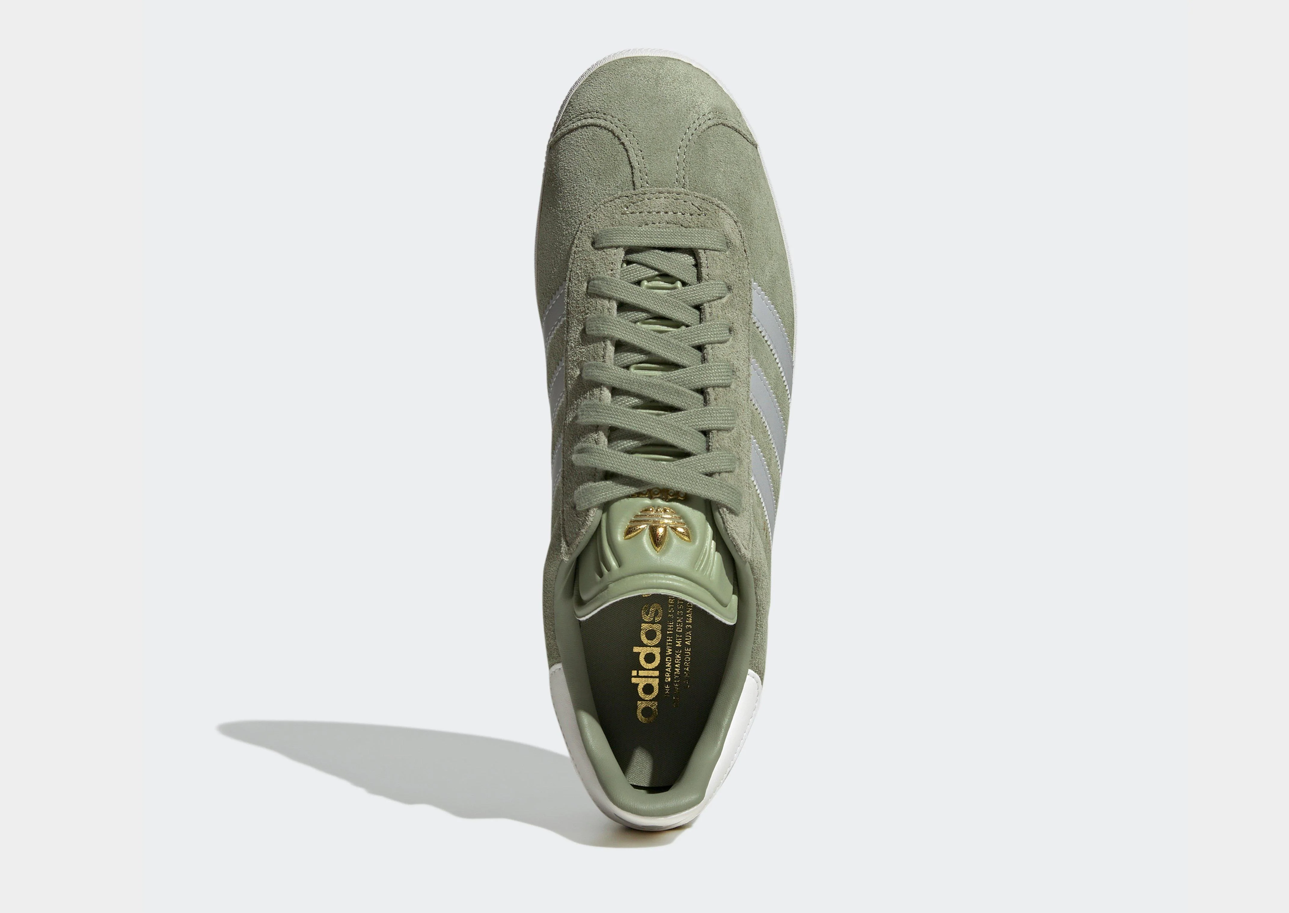 Gazelle - Image 7