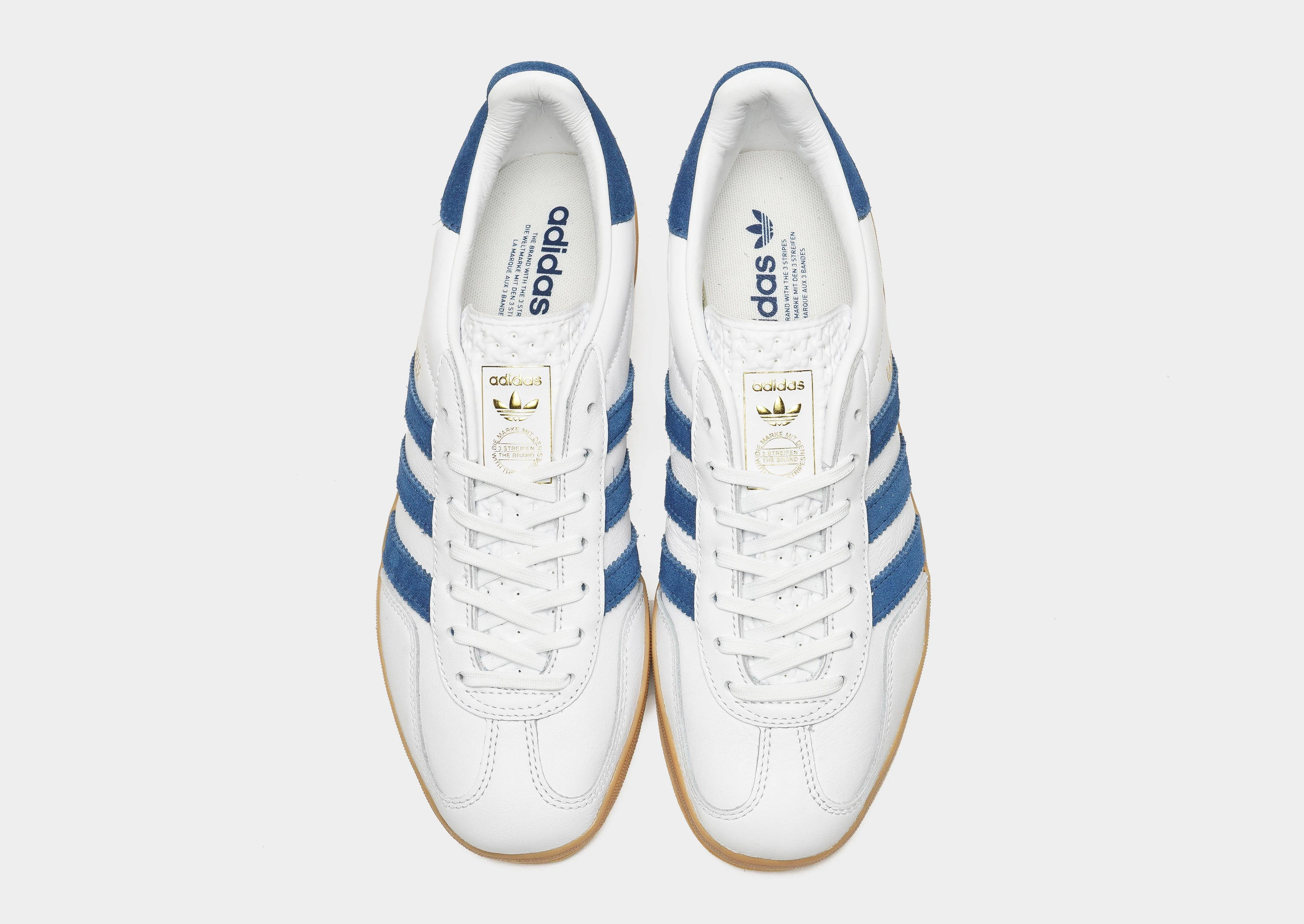 Gazelle Indoor - Image 5