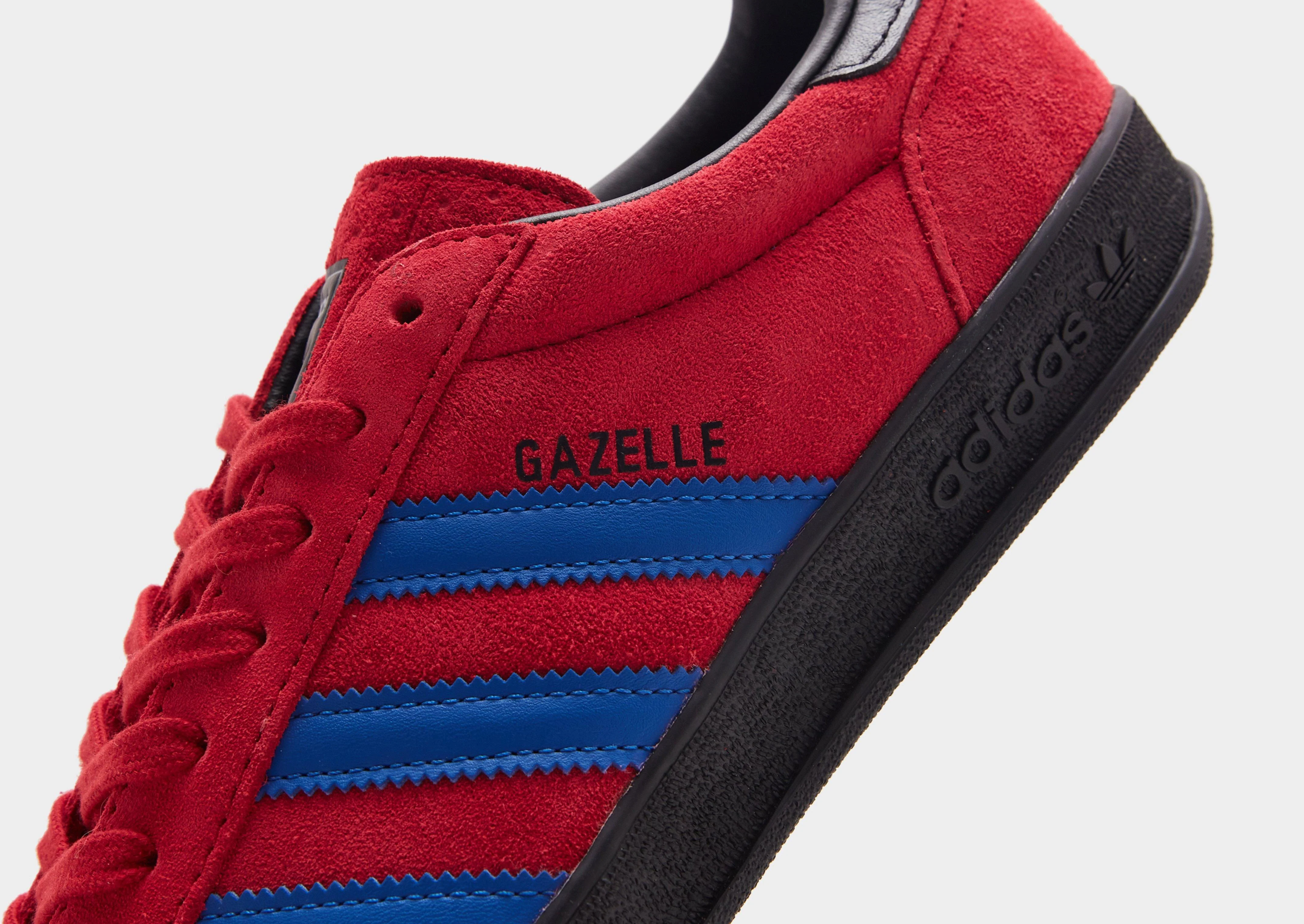 Gazelle Indoor Pro - Image 4